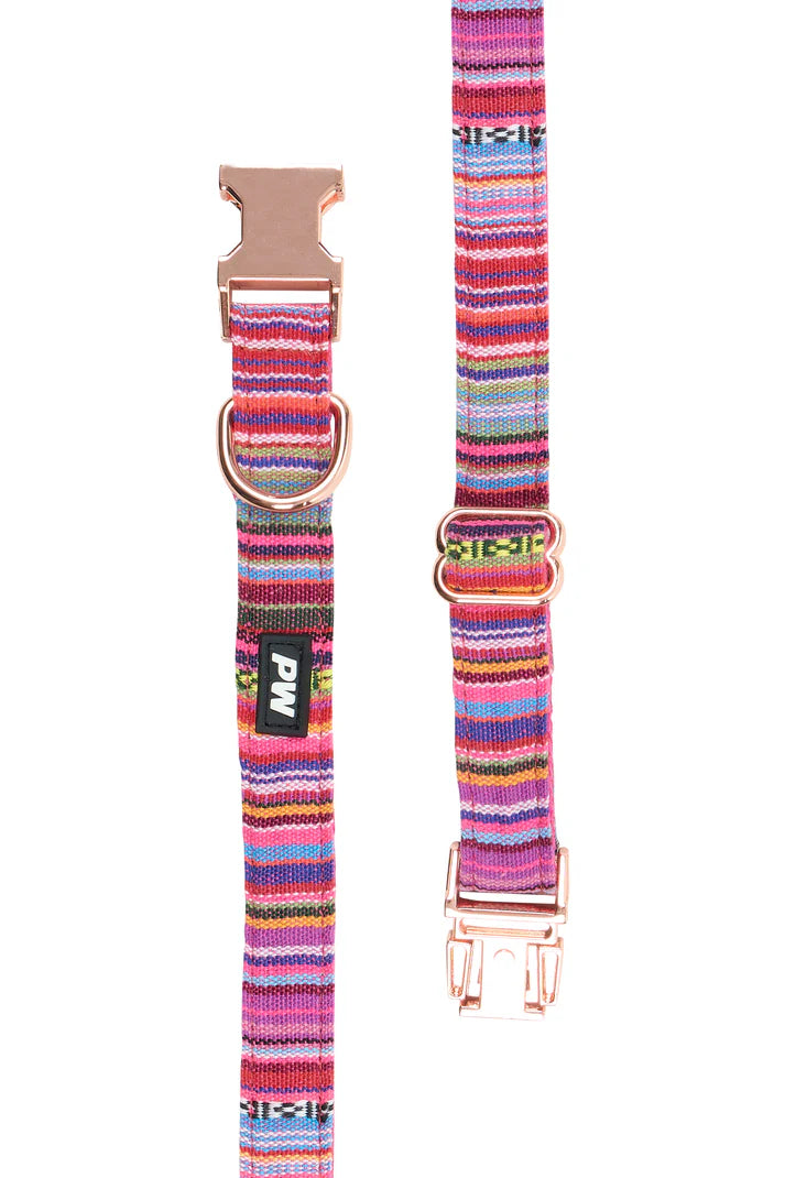 Pure Western Bowie Dog Collar - Pink