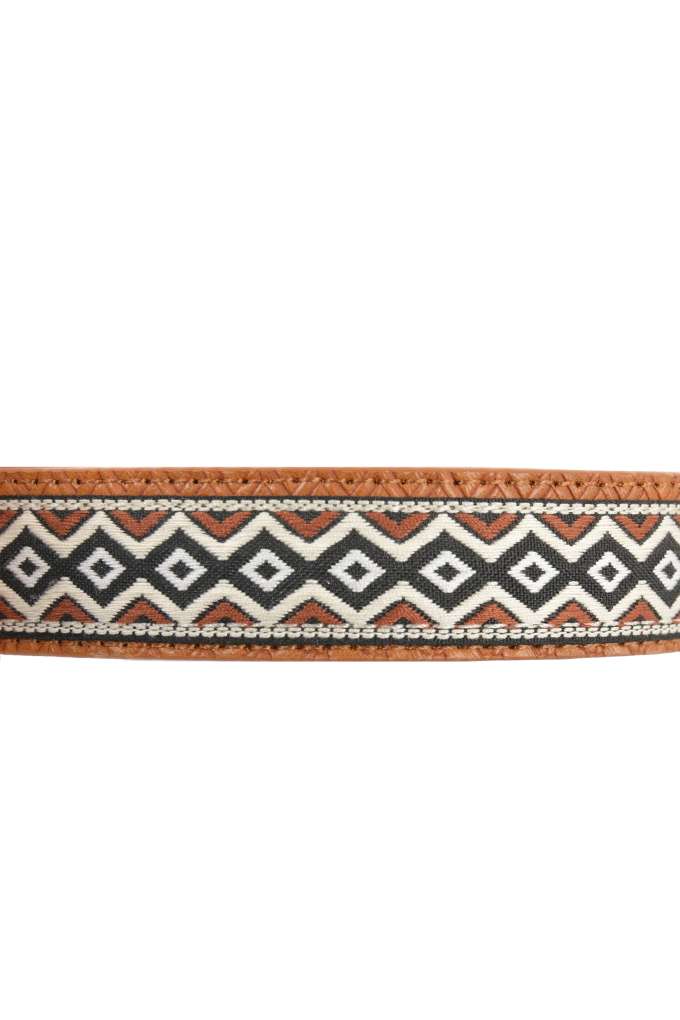 P/W Tan/Black Remy Dog Collar