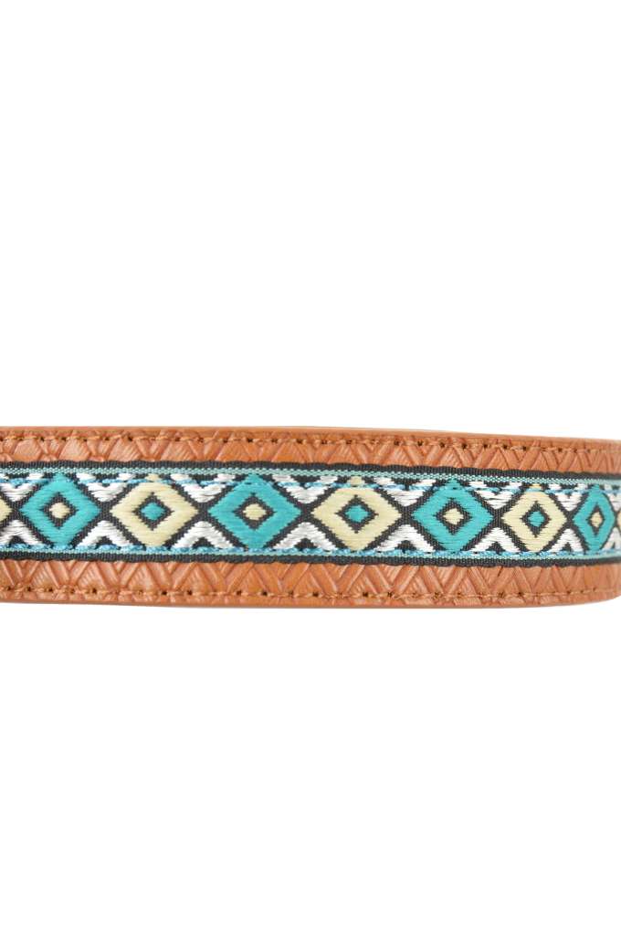 P/W Tan/Blue Remy Dog Collar