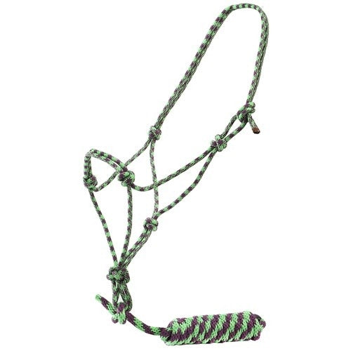 Fort Worth Rope Halter w/Lead - Lime/Purple