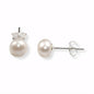 MCJ Sterling Silver freshwater Pearl 7mm Stud Earrings
