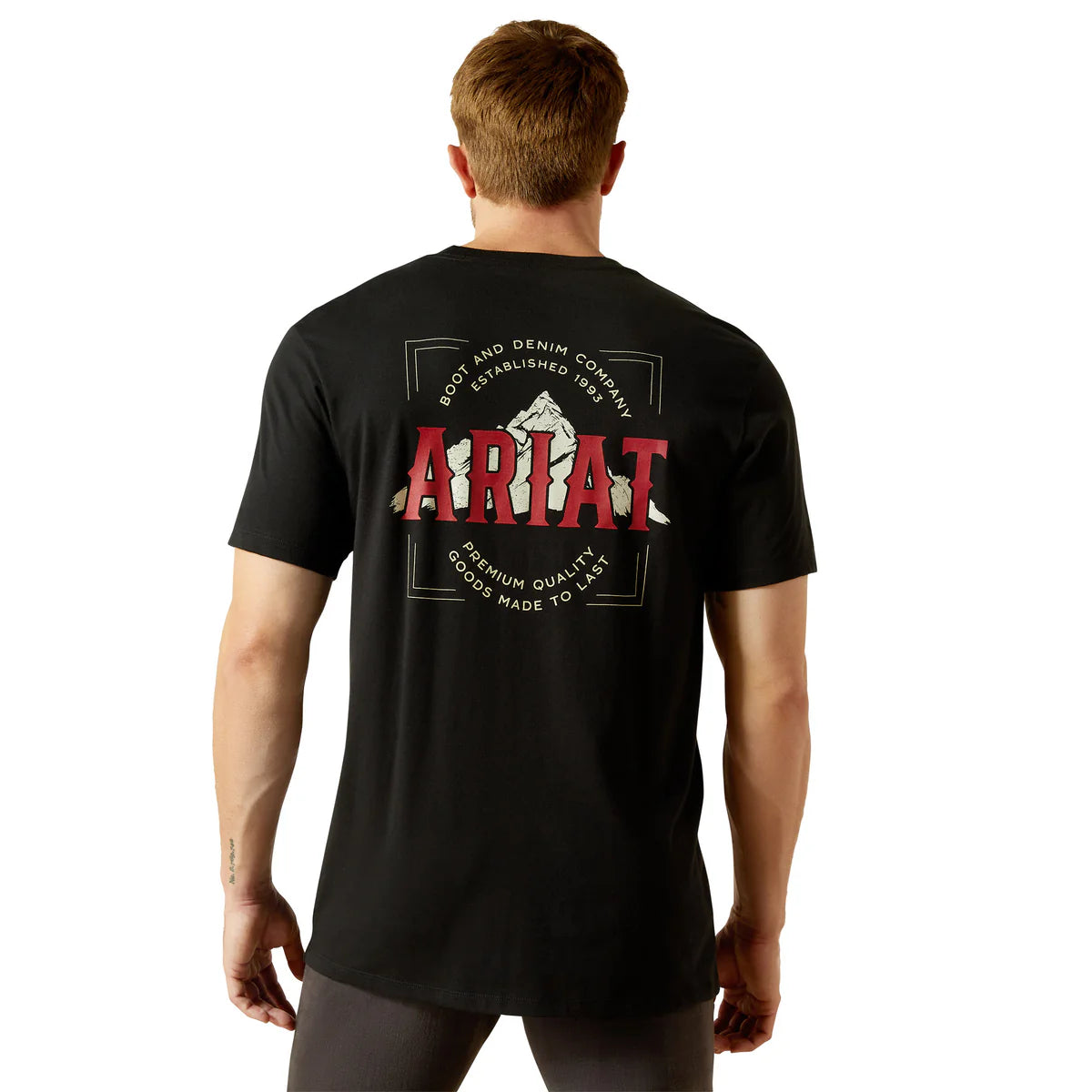 Ariat mens NAB Mountain T-Shirt