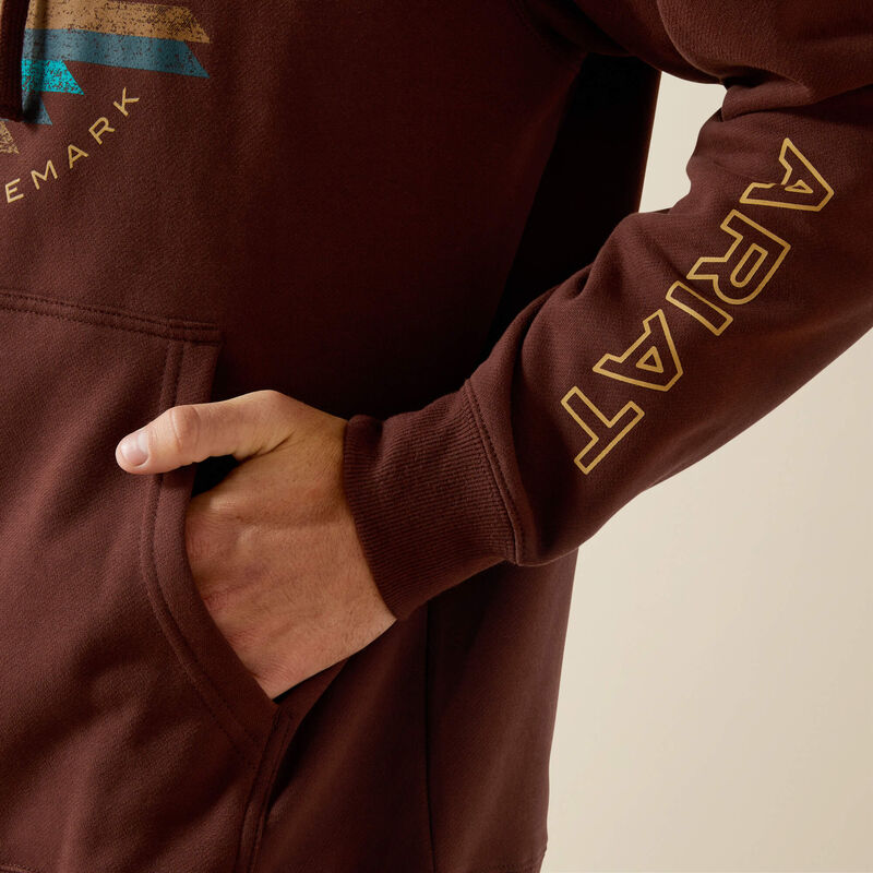 Ariat Men's Carlsbad Canyon Hoodie - Brown