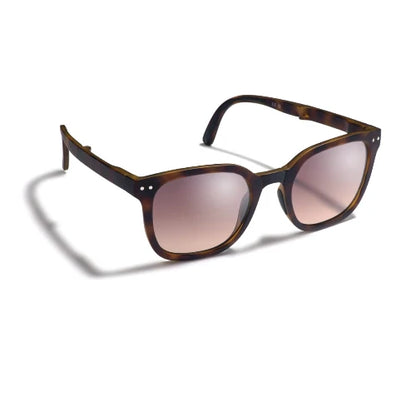 Gidgee Eyes Canter Tortoise Sunglasses