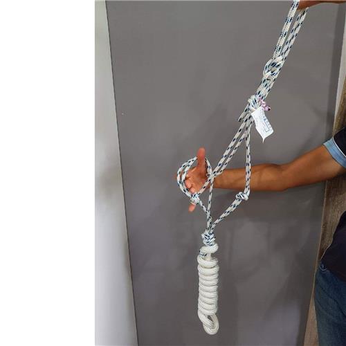 Halter & Lead Various Colors