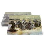 Placemats Set of 6 - Muddy River