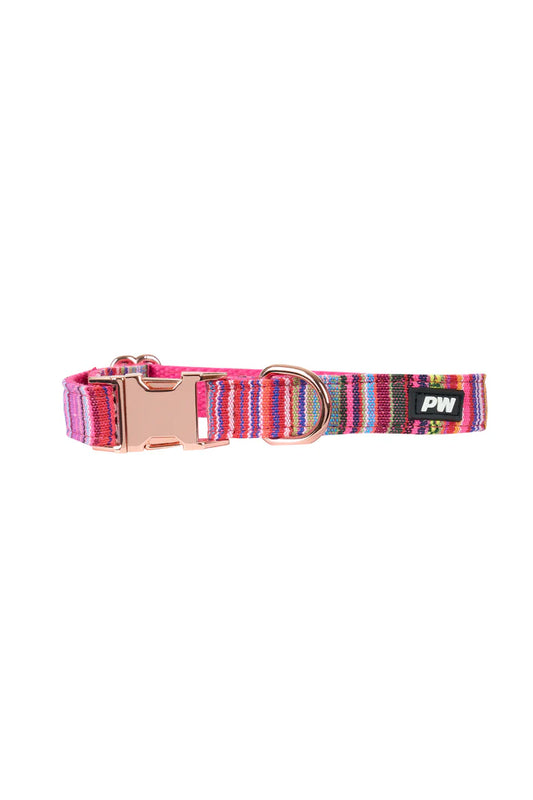 Pure Western Bowie Dog Collar - Pink