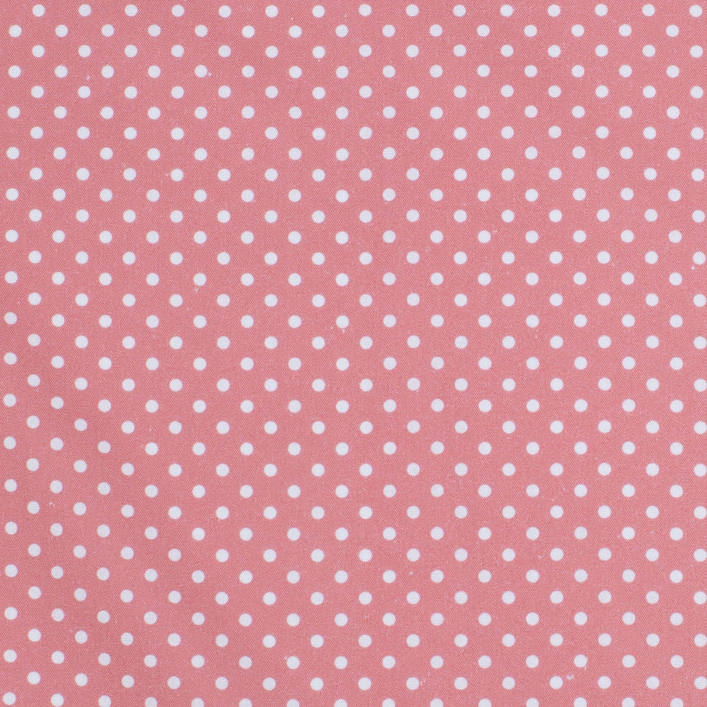 Just Country Women's Abby Frills Full Button - Rosewater & White mini spots