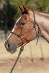 Classic Equine Rope Halter with Lead Rope - CHARCOAL