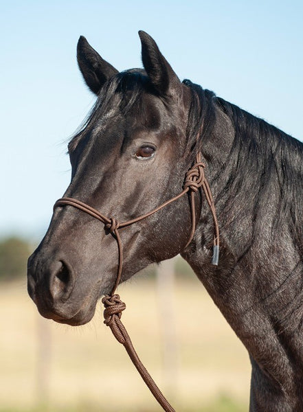 Classic Equine Rope Halter with Lead Rope - Chocolate