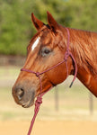 Classic Equine Rope Halter with Lead Rope - Merlot