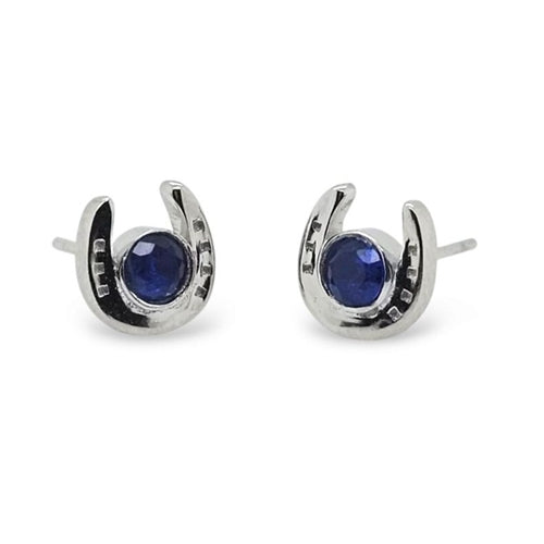 MCJ Sterling Silver Horseshoe CZ Stud Earrings - Blue