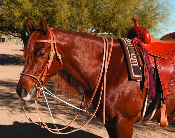 Al Dunning Tack German Martingale with Split Reins