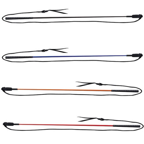 professional choice training sticks horses